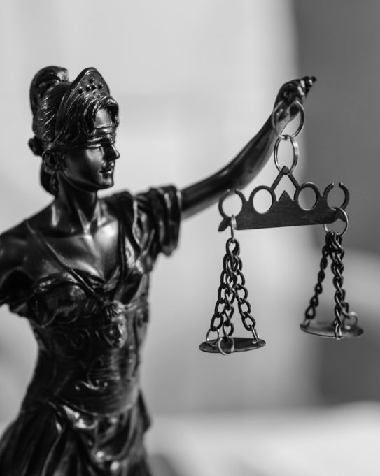 Law scale image